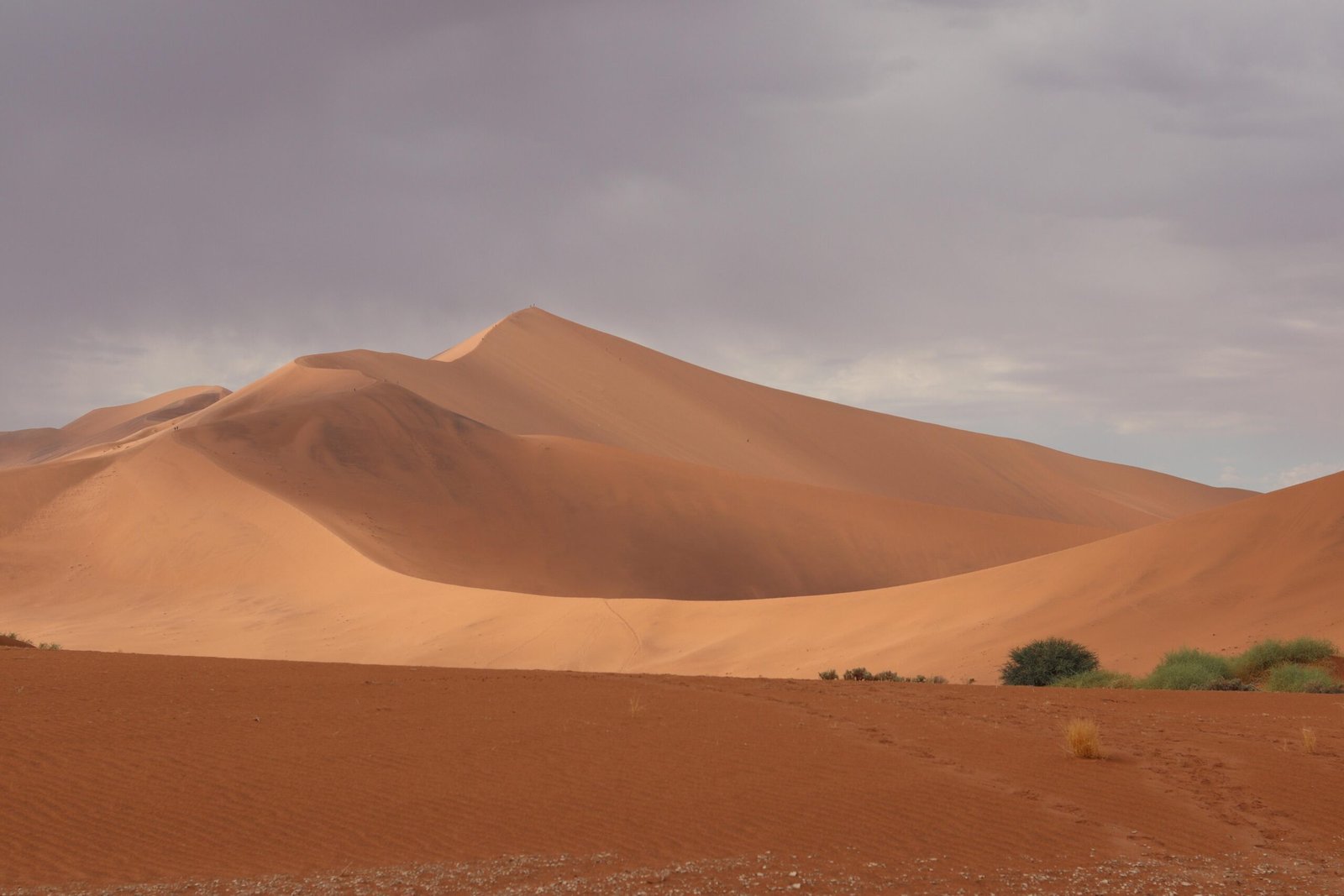 Dunes of the Namib Desert near Sossusvlei