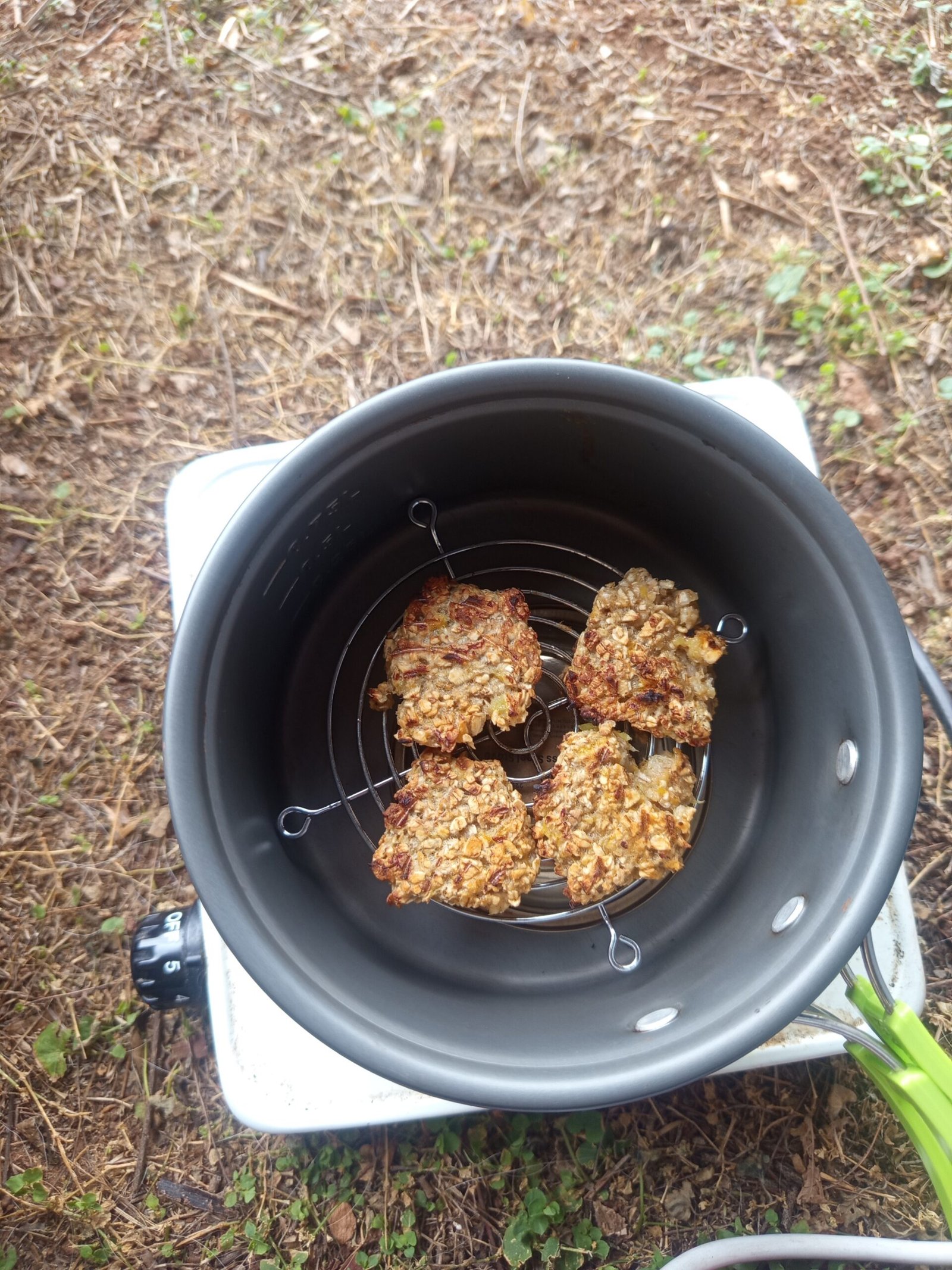Vier selbst gemachte Bananen-Haferflocken-Plätzchen im improvisierten Campingbackofen