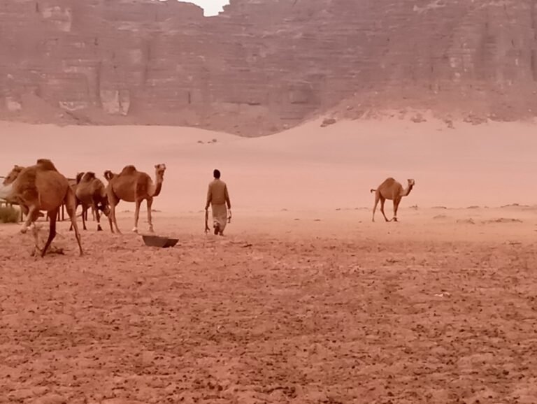 Wadi Rum unplugged – Weihnachten mit Sand, Stille und Selbsterkenntnis